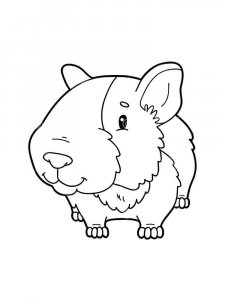 Guinea Pig coloring page - picture 29
