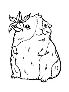 Guinea Pig coloring page - picture 33