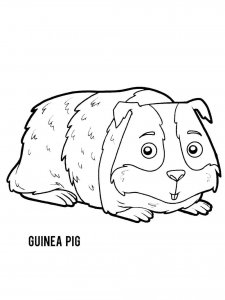 Guinea Pig coloring page - picture 34