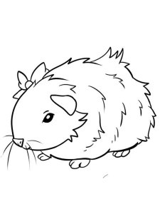 Guinea Pig coloring page - picture 35