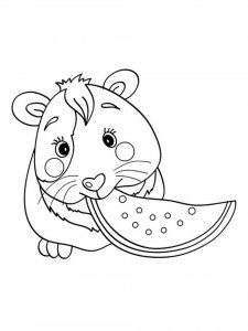Guinea Pig coloring page - picture 36