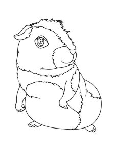 Guinea Pig coloring page - picture 4