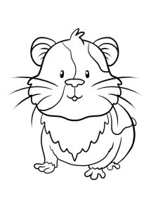 Guinea Pig coloring page - picture 5