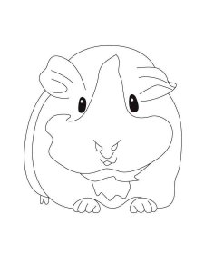 Guinea Pig coloring page - picture 7
