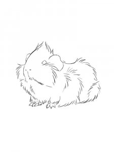 Guinea Pig coloring page - picture 8