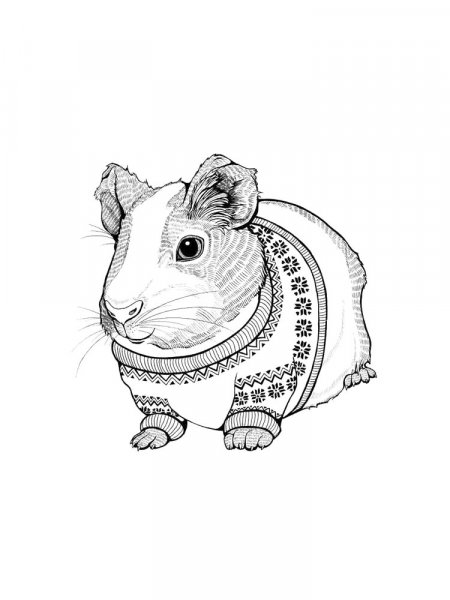 Guinea Pig coloring pages