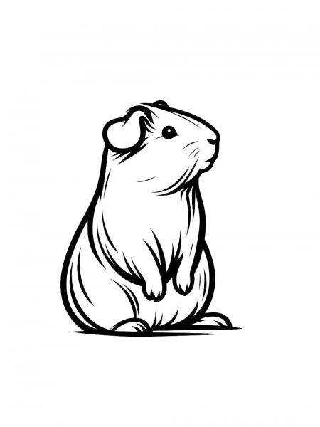 Guinea Pig coloring pages