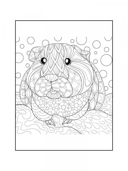 Guinea Pig coloring pages