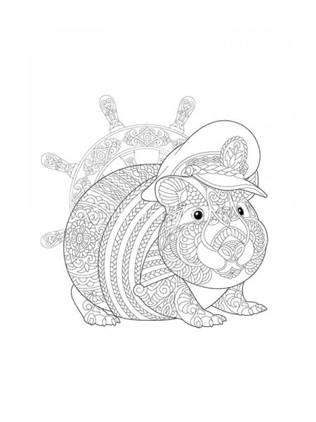 Guinea Pig coloring pages