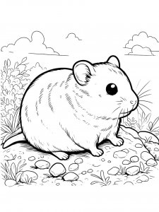 Hamster Coloring Pages 18