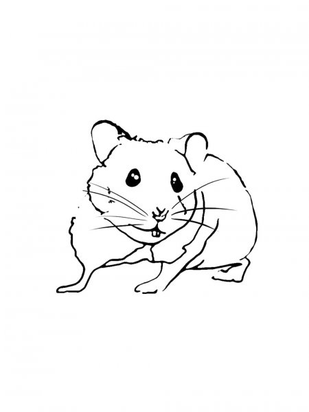 Hamster coloring pages