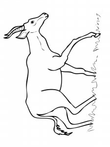Hartebeest coloring page - picture 4