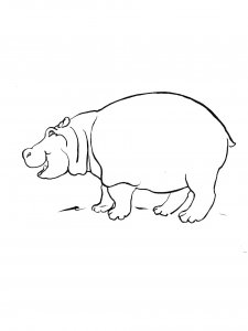 Hippo Coloring Pages 58