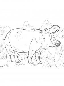 Hippo Coloring Pages 60