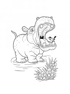 Hippo Coloring Pages 64