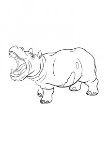 Hippo Coloring Pages 69