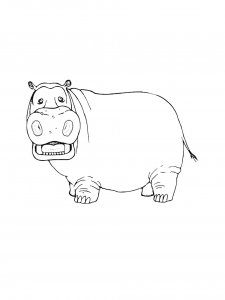 Hippo Coloring Pages 71