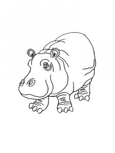 Hippo Coloring Pages 73