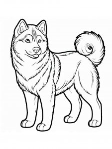Husky coloring page 20