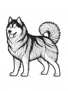 Husky coloring page 23