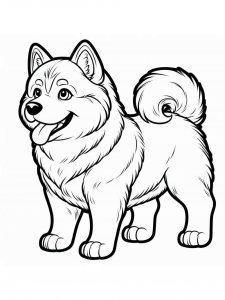 Husky coloring page 25