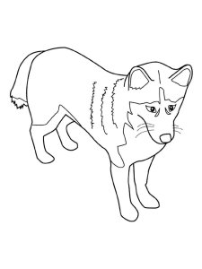 Husky coloring page 3