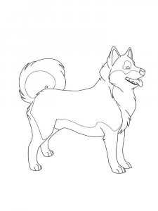 Husky coloring page 7