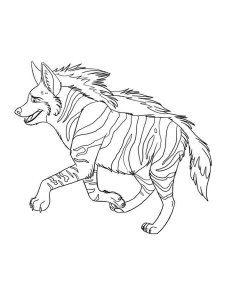 Hyena coloring page - picture 1