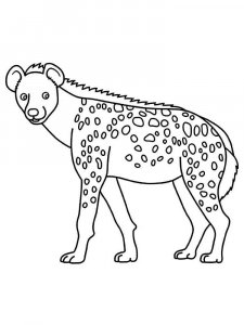 Hyena coloring page - picture 12