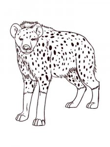 Hyena coloring page - picture 13