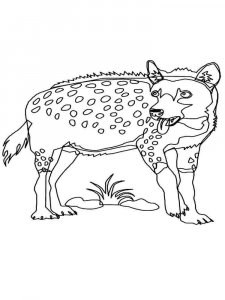 Hyena coloring page - picture 16