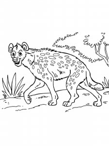Hyena coloring page - picture 17