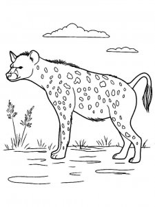 Hyena coloring page - picture 24