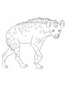 Hyena coloring page - picture 26