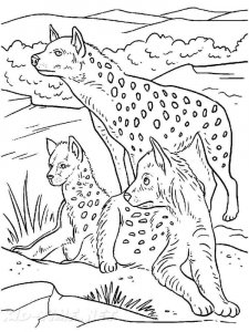 Hyena coloring page - picture 27