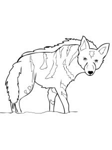 Hyena coloring page - picture 29