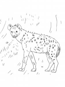 Hyena coloring page - picture 8