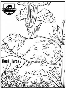 Hyrax coloring page - picture 5