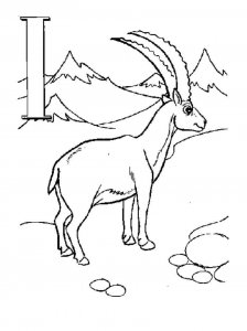 Ibex coloring page - picture 10