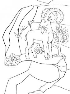 Ibex coloring page - picture 3