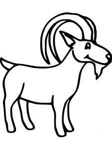 Ibex coloring page - picture 4