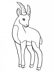 Ibex coloring page - picture 5