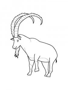 Ibex coloring page - picture 7
