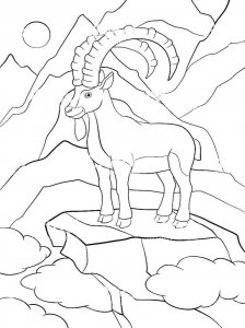 Ibex coloring page - picture 9