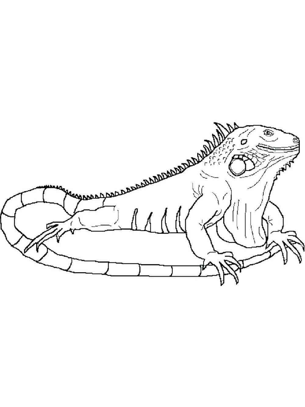 Download Free Iguana coloring pages. Download and print Iguana ...
