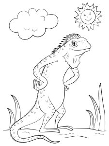 Iguana coloring page - picture 10
