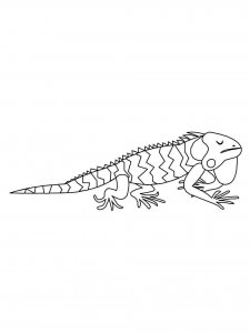 Iguana coloring page - picture 13