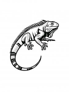Iguana Coloring Pages 26
