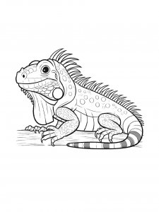 Iguana Coloring Pages 28