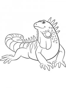 Iguana coloring page - picture 3